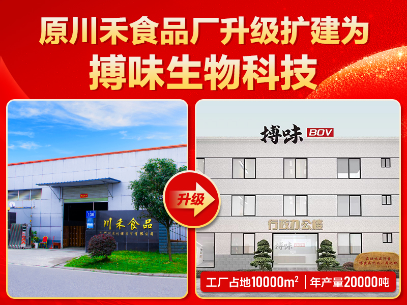 搏味食品廠：源頭實力煥新，領航火鍋底料產業新征程